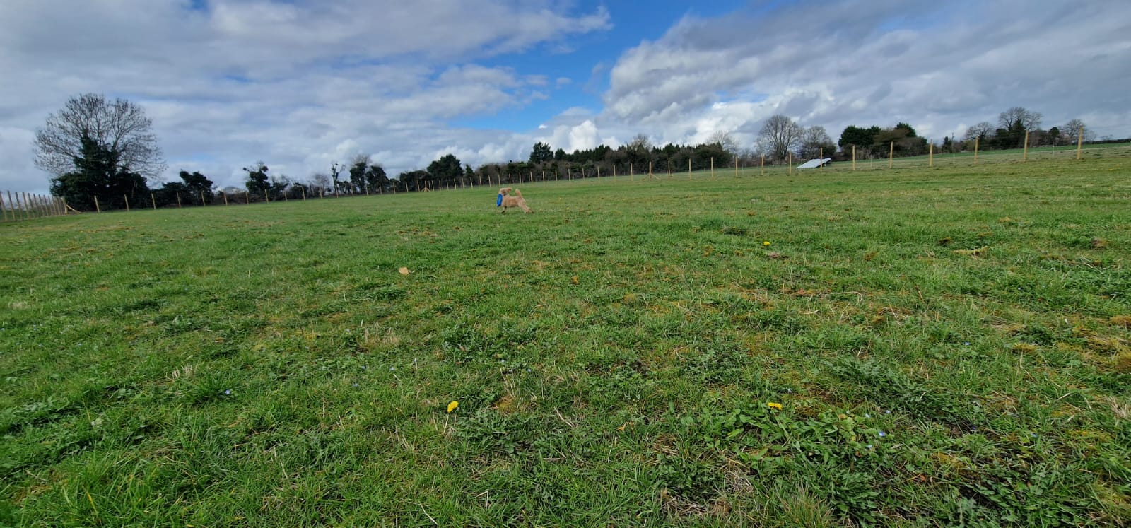 Bidford Paws Paddock