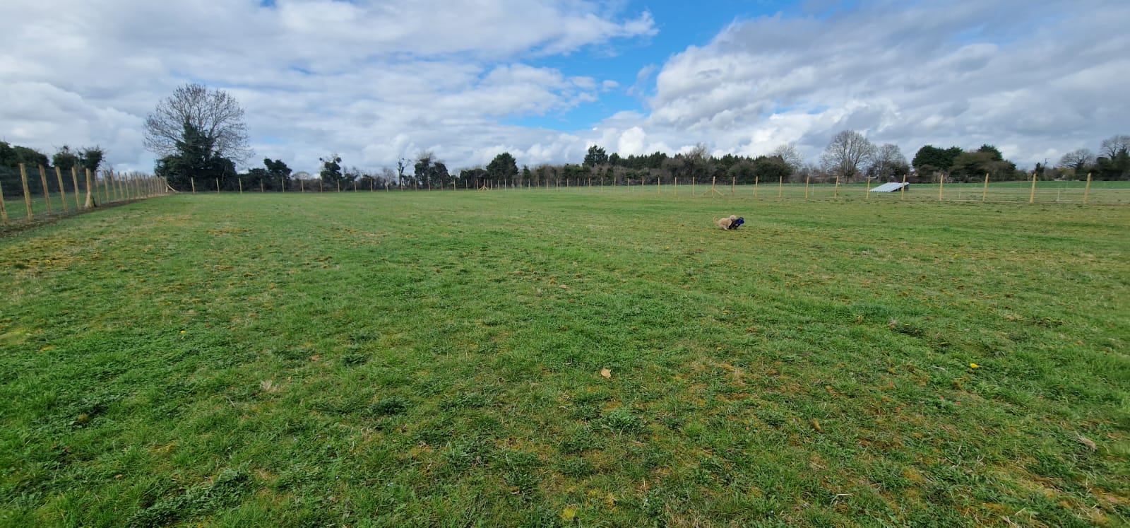 Bidford Paws Paddock