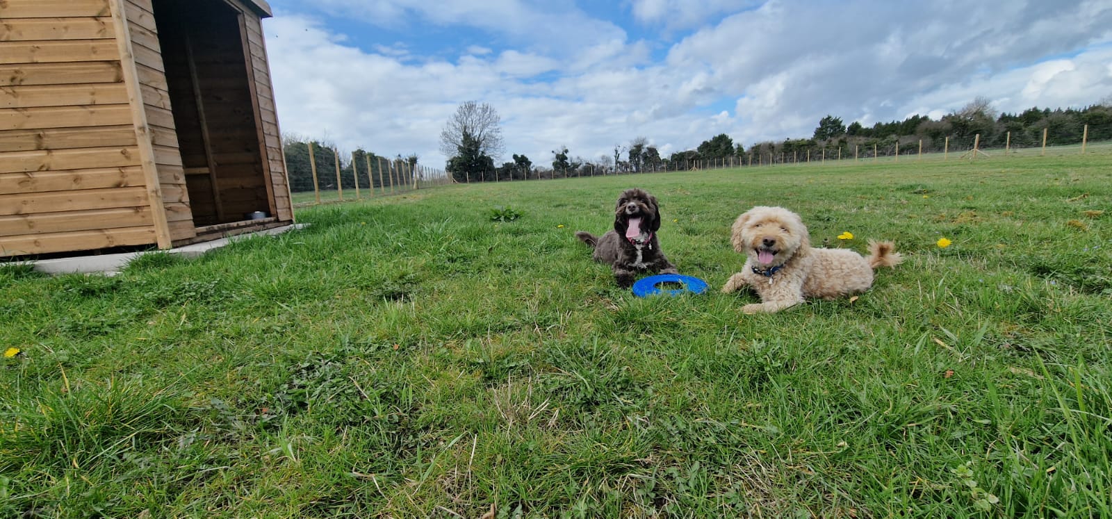 Bidford Paws Paddock